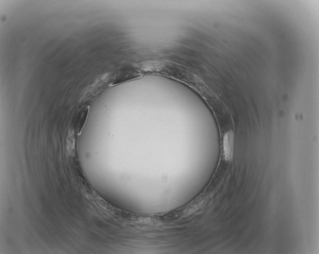 X0000086071443200704202114