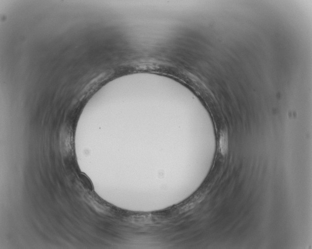 X0000086071444200704202114