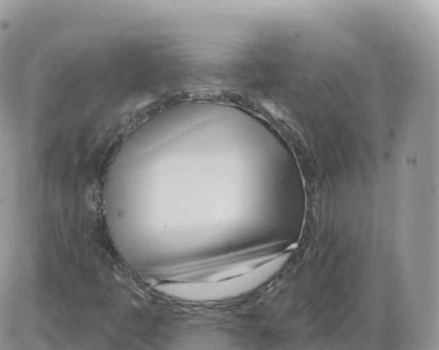 X0000086071445200704202114