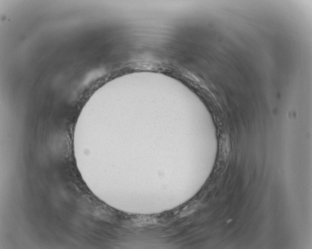 X0000086071446200704202114