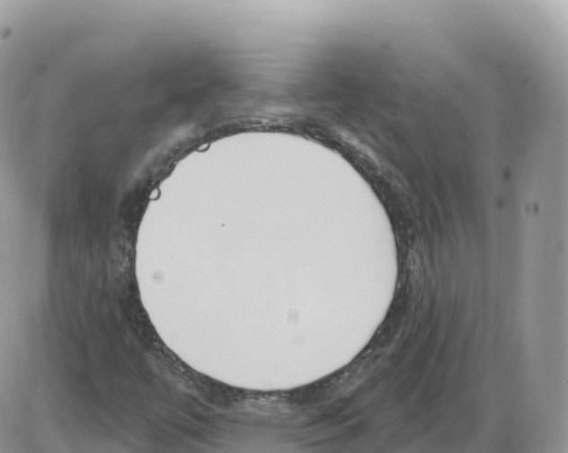 X0000086071447200704202114