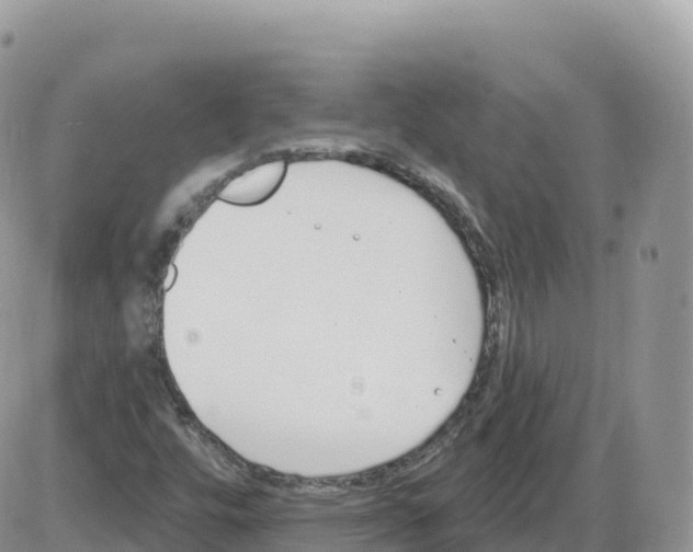 X0000086071448200704202114