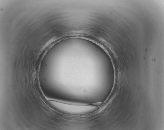 X0000086071449200704202114