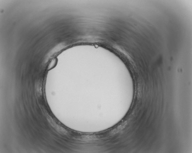 X0000086071451200704202114