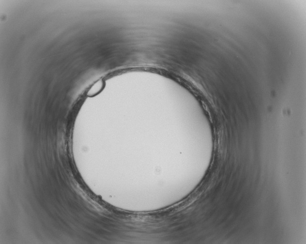 X0000086071452200704202114