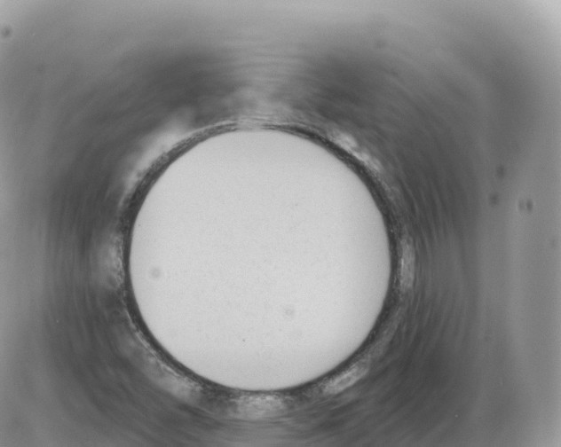 X0000086071454200704202114