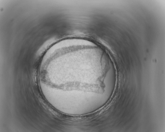 X0000086071455200704202114