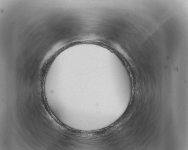 X0000086071456200704202114