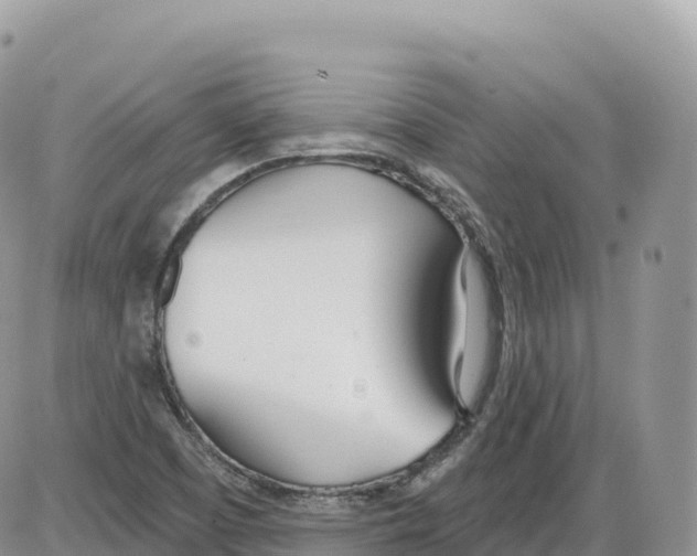 X0000086071457200704202114