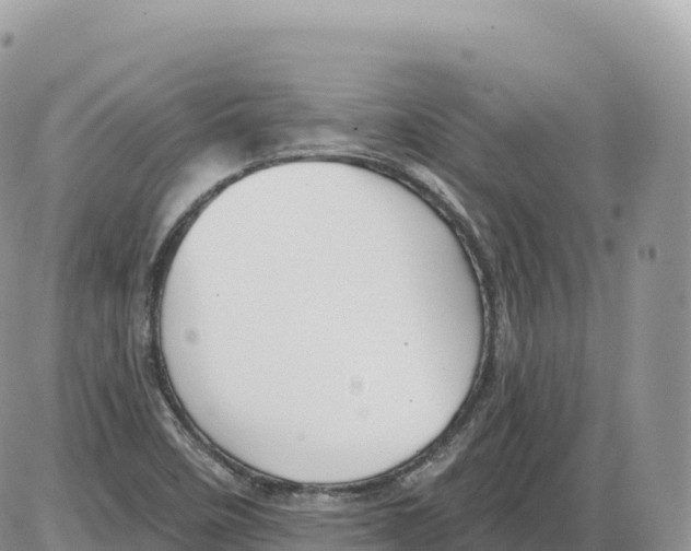 X0000086071458200704202114