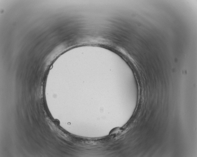 X0000086071459200704202114