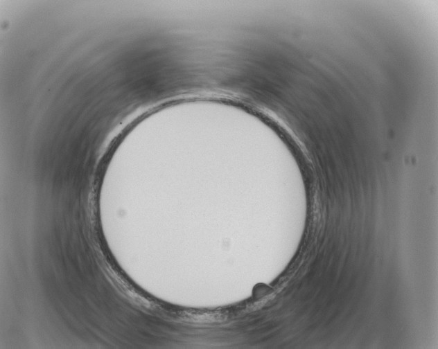 X0000086071460200704202114