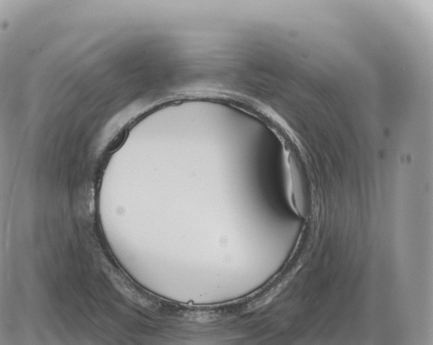 X0000086071461200704202114