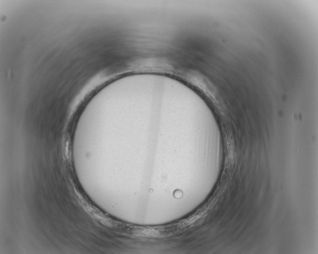 X0000086071462200704202114