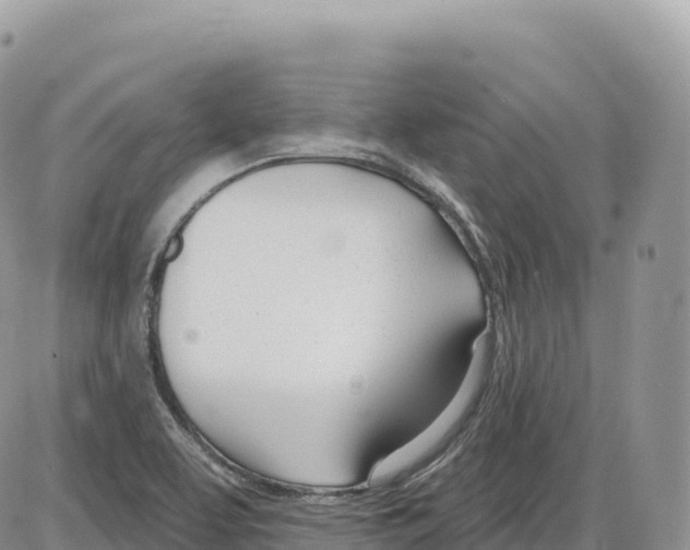 X0000086071463200704202114