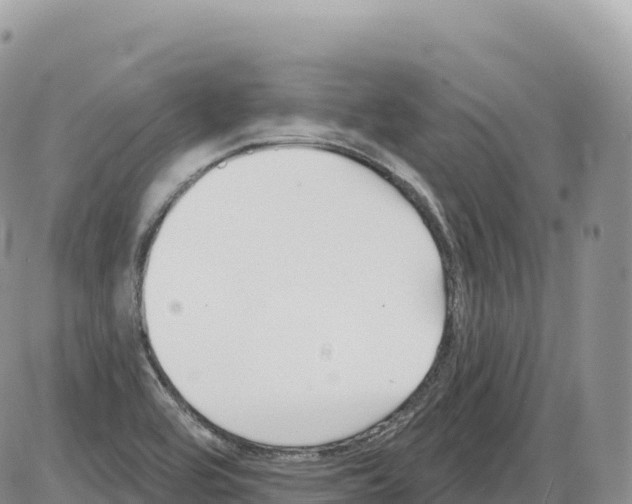 X0000086071464200704202114