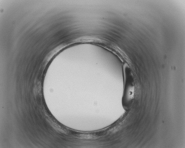 X0000086071465200704202114