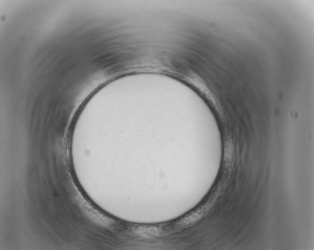 X0000086071466200704202114