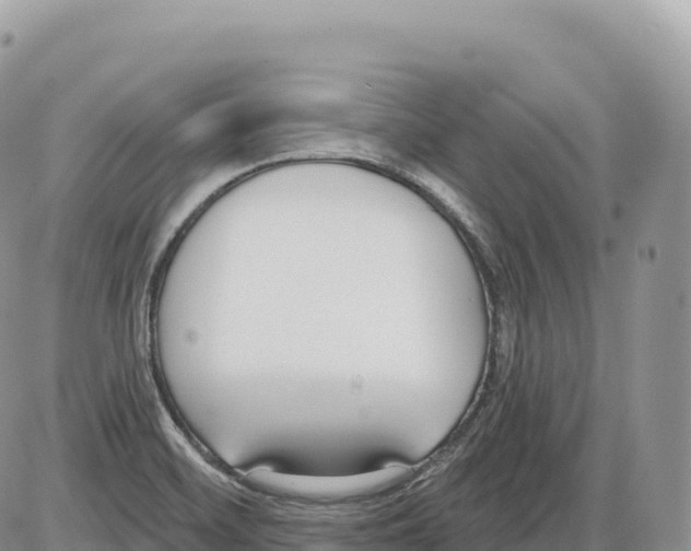 X0000086071468200704202114