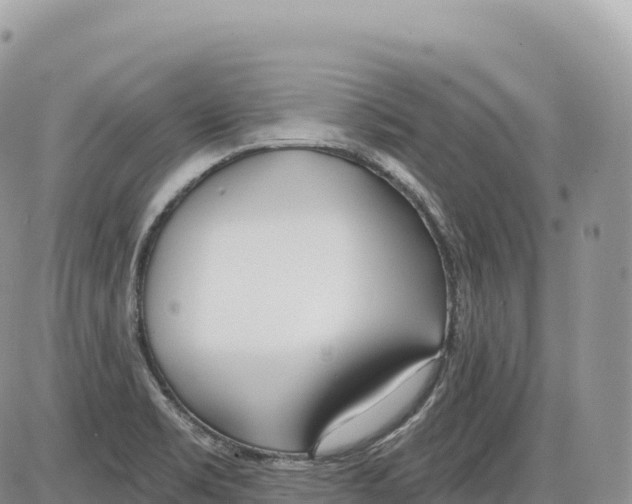 X0000086071469200704202114