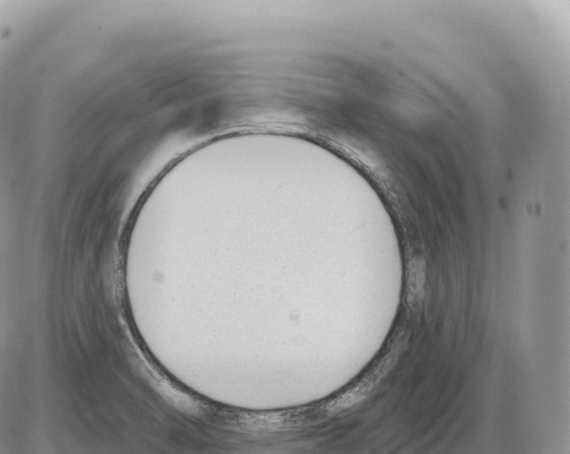 X0000086071470200704202114