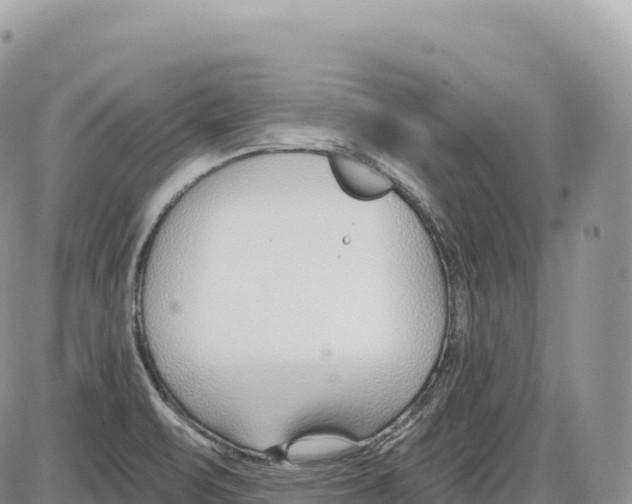 X0000086071471200704202114