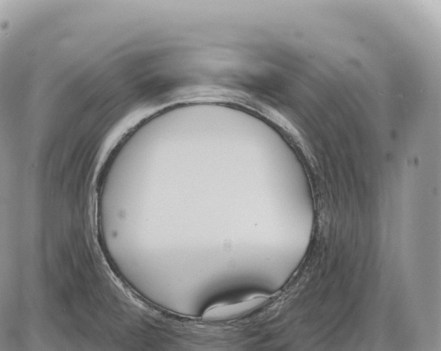 X0000086071472200704202114