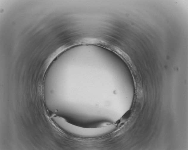 X0000086071473200704202114