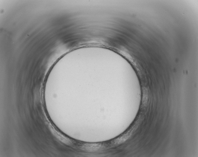 X0000086071474200704202114