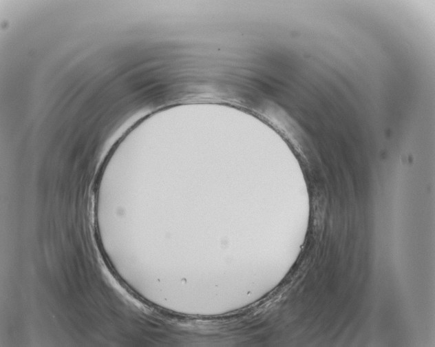 X0000086071476200704202114