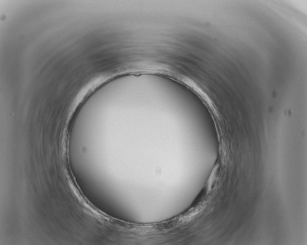 X0000086071477200704202114