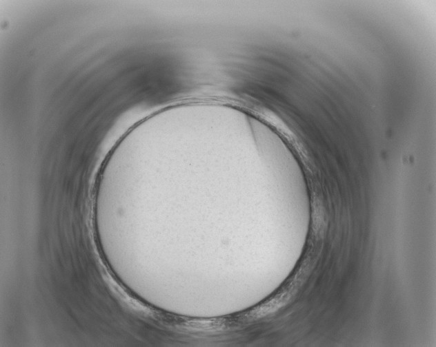 X0000086071478200704202114