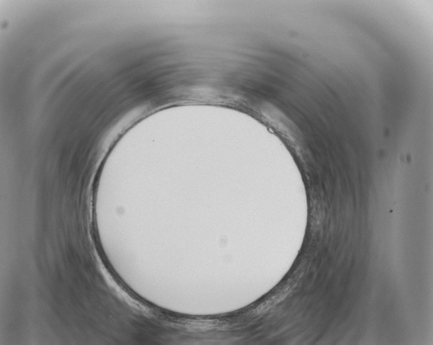 X0000086071479200704202114