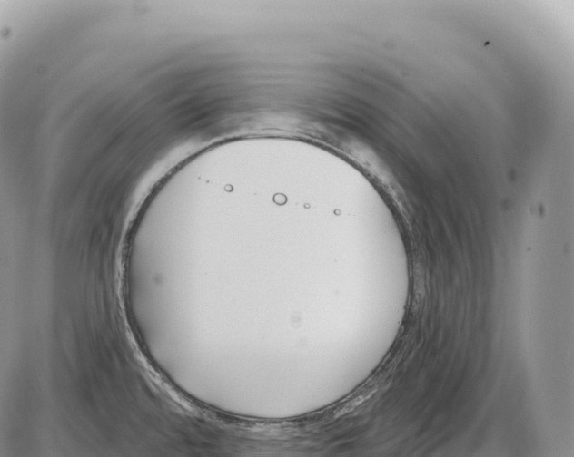 X0000086071480200704202114