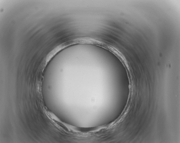 X0000086071481200704202114