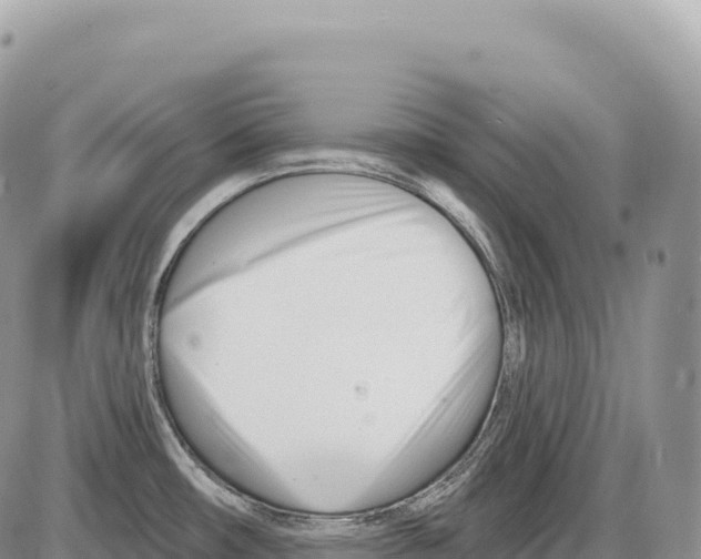 X0000086071482200704202114