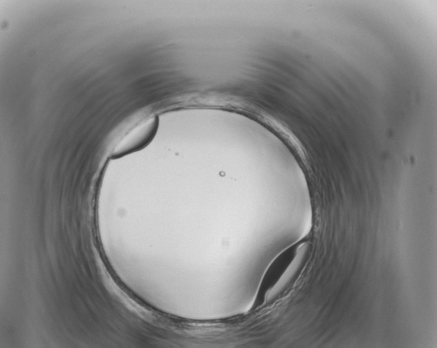 X0000086071483200704202114