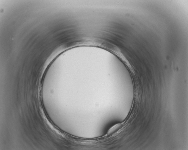 X0000086071484200704202114