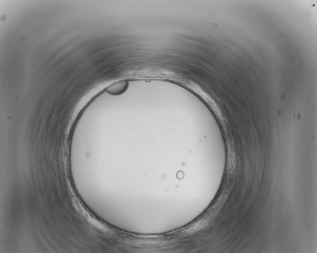 X0000086071486200704202114