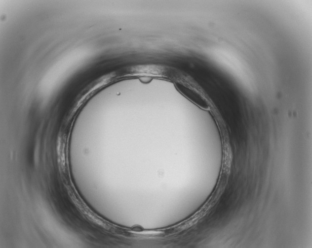 X0000086071487200704202114