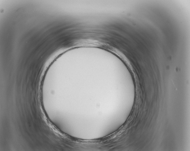 X0000086071488200704202114