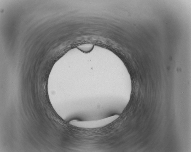 X0000086071489200704202113