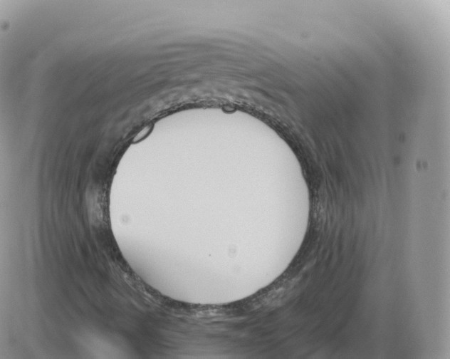 X0000086071490200704202113