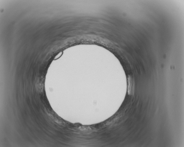 X0000086071491200704202113