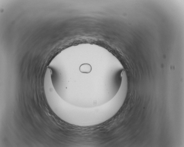 X0000086071492200704202113