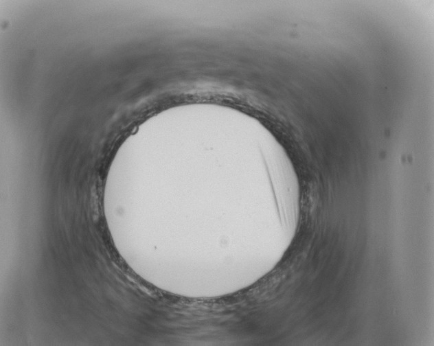 X0000086071493200704202113