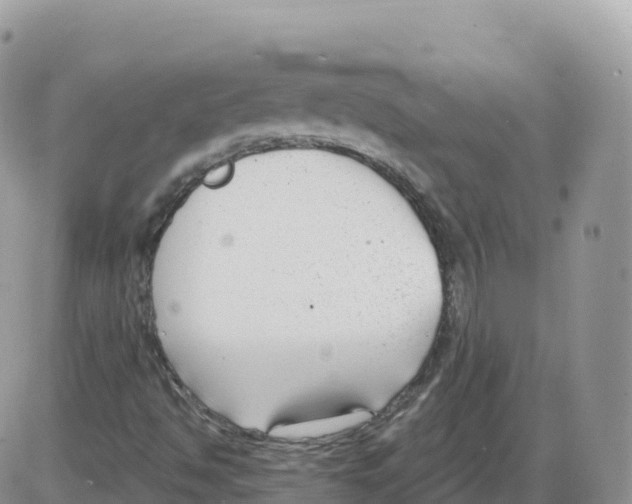 X0000086071494200704202113