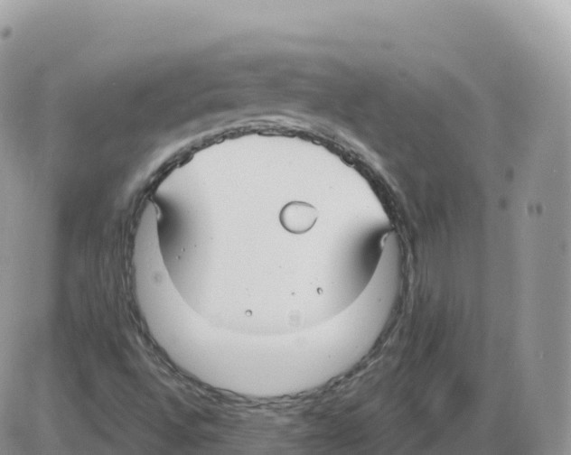 X0000086071496200704202113