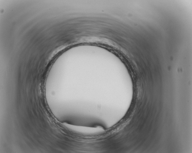 X0000086071497200704202113