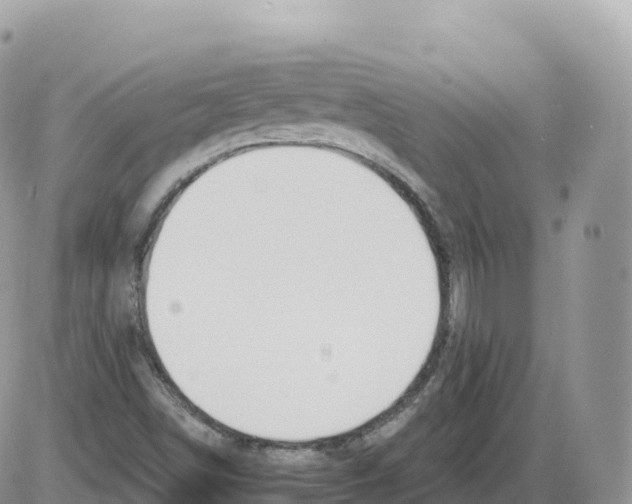 X0000086071498200704202113